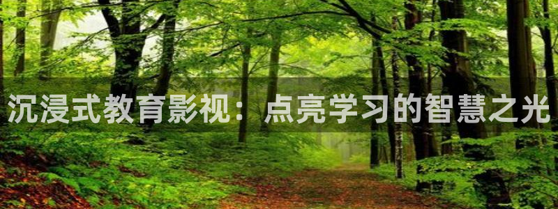 神馬老子理論影院：沉浸式教育影視：點亮學習的智慧之光