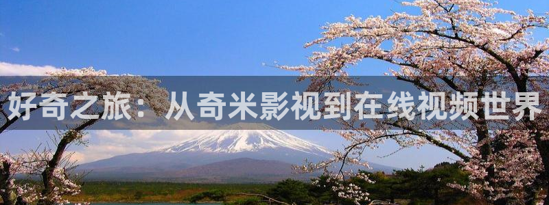 理論片天堂網：好奇之旅：從奇米影視到在線視頻世界